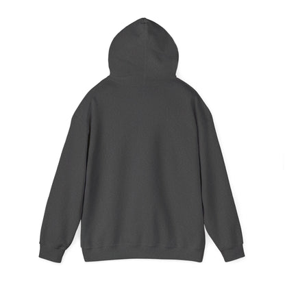 Nollaig Shona — Happy Christmas Ireland Hoodie