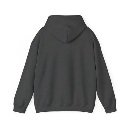 Silent Night? Not in This House Hoodie